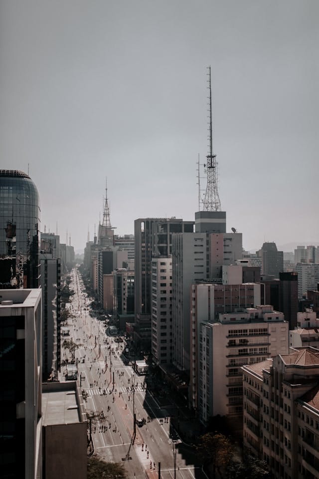 pexels-matheus-triaquim-118638681-10196547